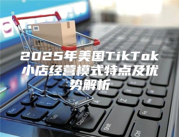2025年美国TikTok小店经营模式特点及优势解析