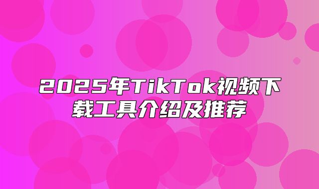 2025年TikTok视频下载工具介绍及推荐