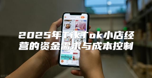 2025年TikTok小店经营的资金需求与成本控制