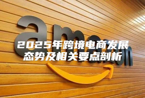 2025年跨境电商发展态势及相关要点剖析