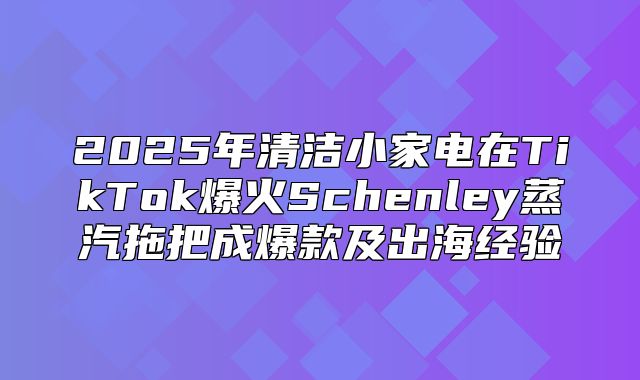 2025年清洁小家电在TikTok爆火Schenley蒸汽拖把成爆款及出海经验