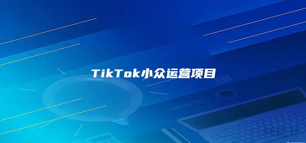 TikTok小众运营项目