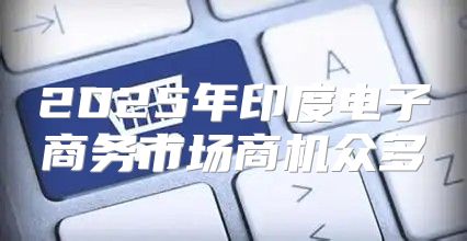 2025年印度电子商务市场商机众多