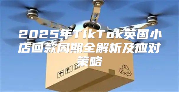 2025年TikTok英国小店回款周期全解析及应对策略