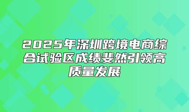 2025年深圳跨境电商综合试验区成绩斐然引领高质量发展