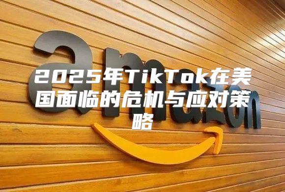 2025年TikTok在美国面临的危机与应对策略