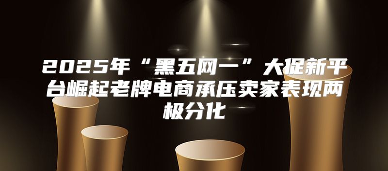 2025年“黑五网一”大促新平台崛起老牌电商承压卖家表现两极分化