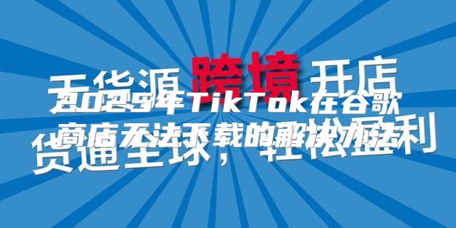 2025年TikTok在谷歌商店无法下载的解决办法