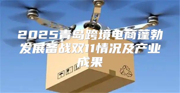 2025青岛跨境电商蓬勃发展备战双11情况及产业成果