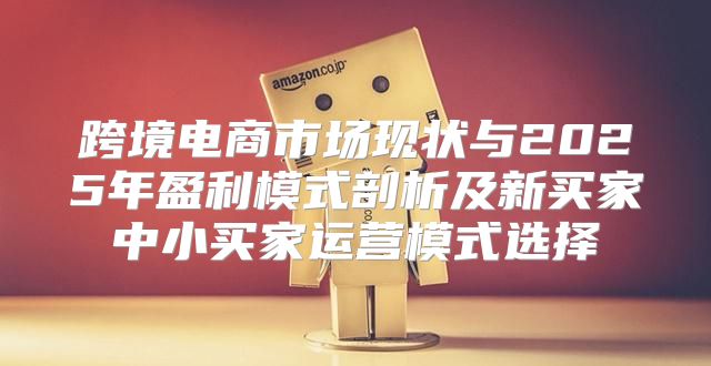 跨境电商市场现状与2025年盈利模式剖析及新买家中小买家运营模式选择