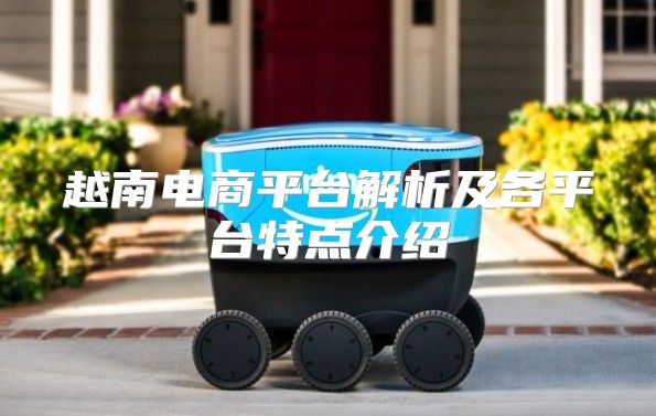越南电商平台解析及各平台特点介绍