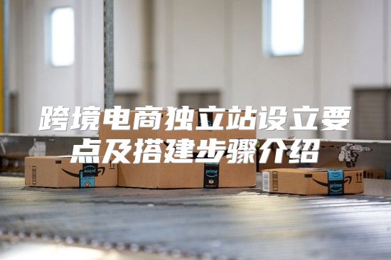 跨境电商独立站设立要点及搭建步骤介绍