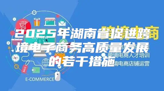 2025年湖南省促进跨境电子商务高质量发展的若干措施