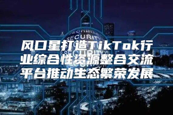 风口星打造TikTok行业综合性资源整合交流平台推动生态繁荣发展