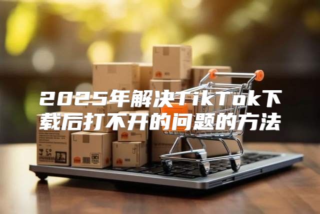 2025年解决TikTok下载后打不开的问题的方法