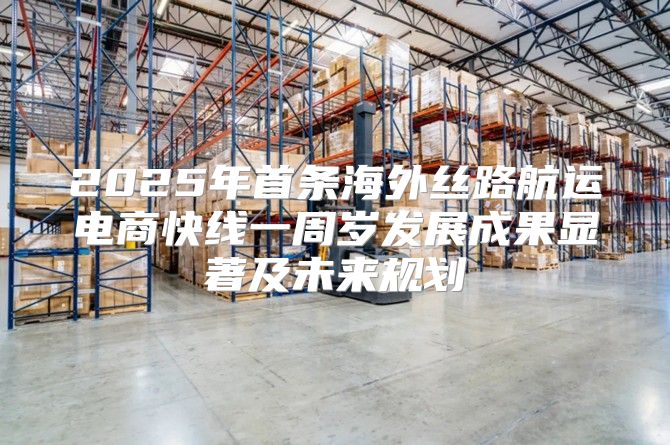 2025年首条海外丝路航运电商快线一周岁发展成果显著及未来规划