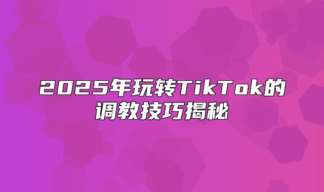 2025年玩转TikTok的调教技巧揭秘