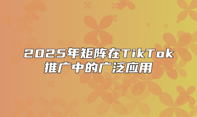 2025年矩阵在TikTok推广中的广泛应用