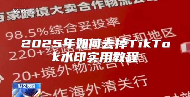 2025年如何去掉TikTok水印实用教程
