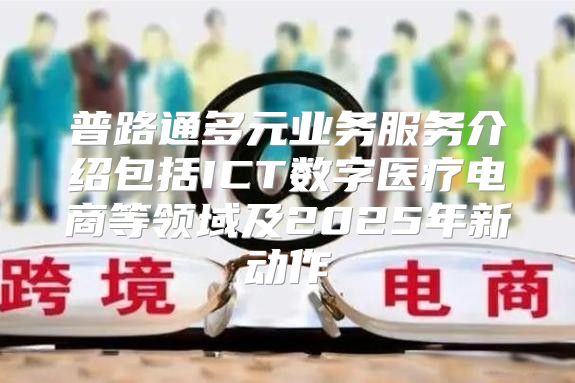 普路通多元业务服务介绍包括ICT数字医疗电商等领域及2025年新动作