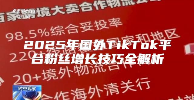 2025年国外TikTok平台粉丝增长技巧全解析