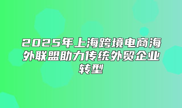 2025年上海跨境电商海外联盟助力传统外贸企业转型