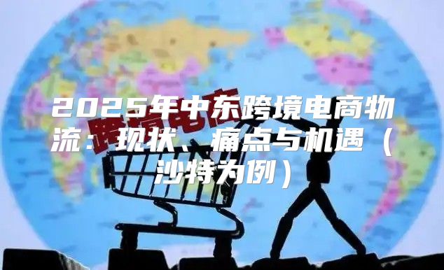 2025年中东跨境电商物流：现状、痛点与机遇沙特为例