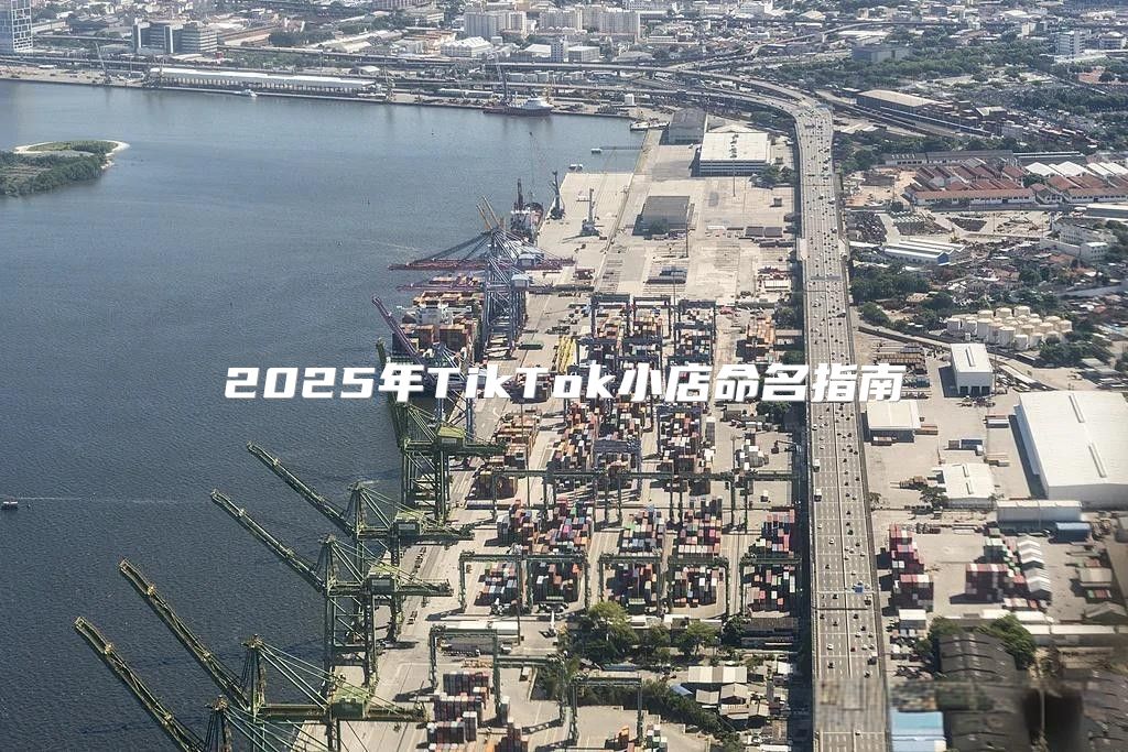 2025年TikTok小店命名指南