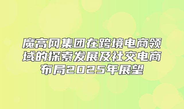魔高网集团在跨境电商领域的探索发展及社交电商布局2025年展望