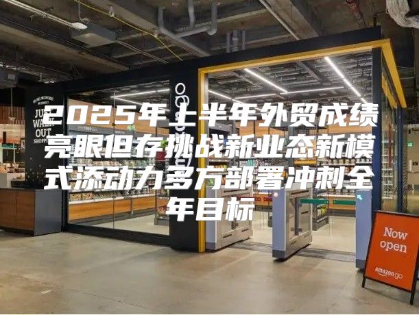 2025年上半年外贸成绩亮眼但存挑战新业态新模式添动力多方部署冲刺全年目标