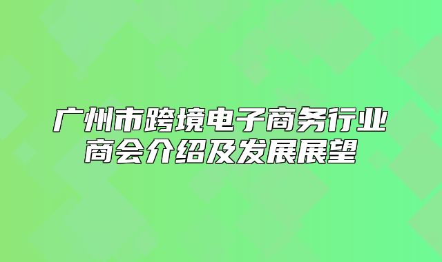 广州市跨境电子商务行业商会介绍及发展展望