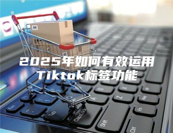 2025年如何有效运用Tiktok标签功能