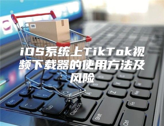 iOS系统上TikTok视频下载器的使用方法及风险