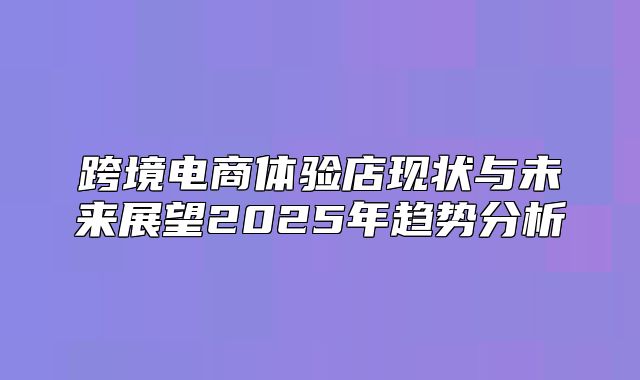 跨境电商体验店现状与未来展望2025年趋势分析