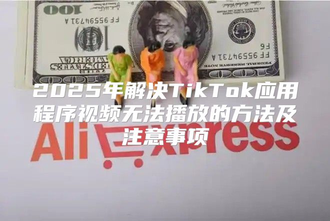 2025年解决TikTok应用程序视频无法播放的方法及注意事项
