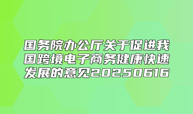 国务院办公厅关于促进我国跨境电子商务健康快速发展的意见20250616