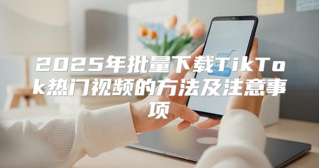 2025年批量下载TikTok热门视频的方法及注意事项