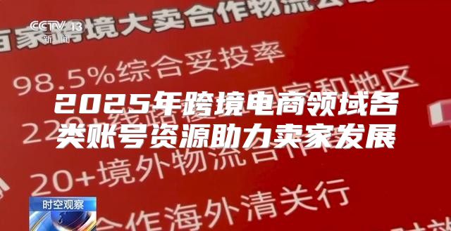 2025年跨境电商领域各类账号资源助力卖家发展