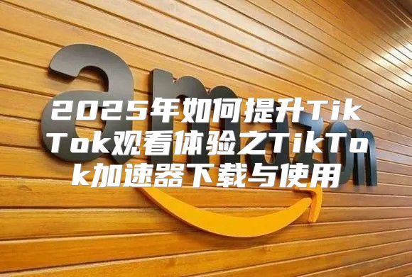 2025年如何提升TikTok观看体验之TikTok加速器下载与使用