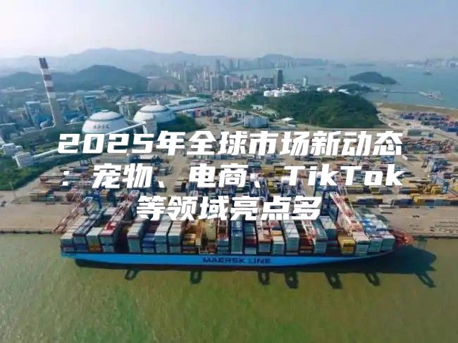 2025年全球市场新动态：宠物、电商、TikTok等领域亮点多