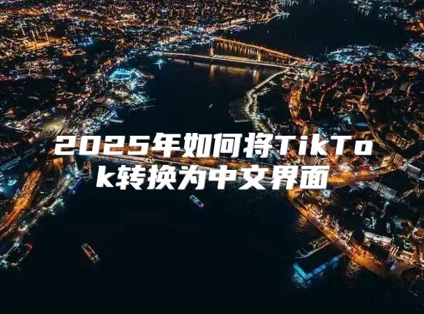 2025年如何将TikTok转换为中文界面