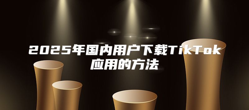2025年国内用户下载TikTok应用的方法