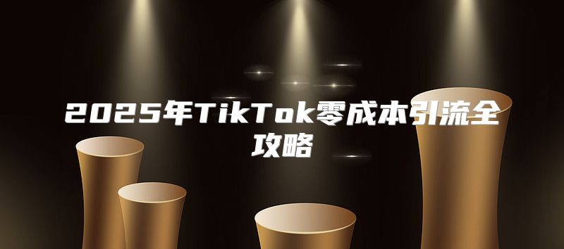 2025年TikTok零成本引流全攻略
