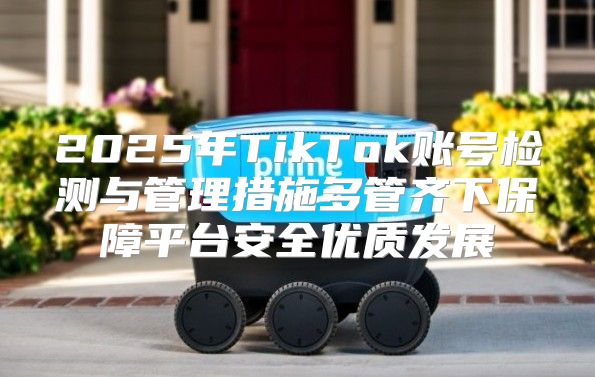2025年TikTok账号检测与管理措施多管齐下保障平台安全优质发展
