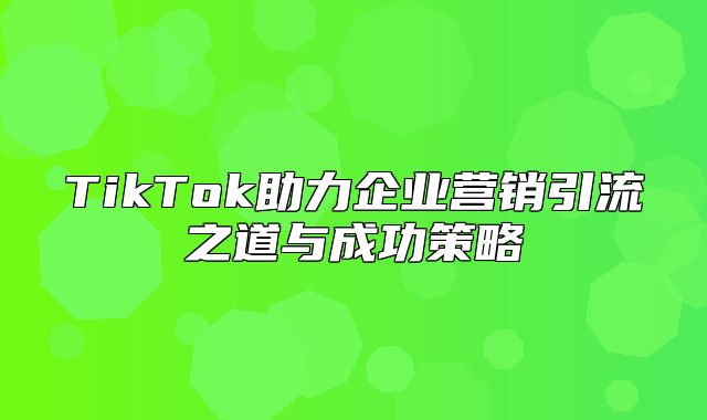TikTok助力企业营销引流之道与成功策略