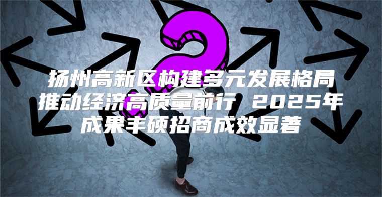 扬州高新区构建多元发展格局推动经济高质量前行 2025年成果丰硕招商成效显著