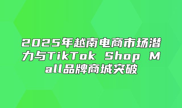 2025年越南电商市场潜力与TikTok Shop Mall品牌商城突破