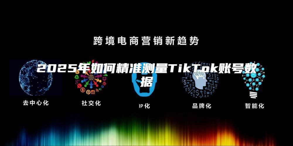 2025年如何精准测量TikTok账号数据