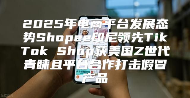 2025年电商平台发展态势Shopee印尼领先TikTok Shop获美国Z世代青睐且平台合作打击假冒产品
