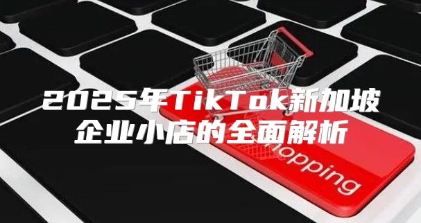 2025年TikTok新加坡企业小店的全面解析